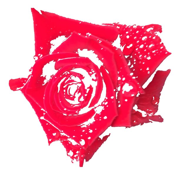 红玫瑰文摘图片下载