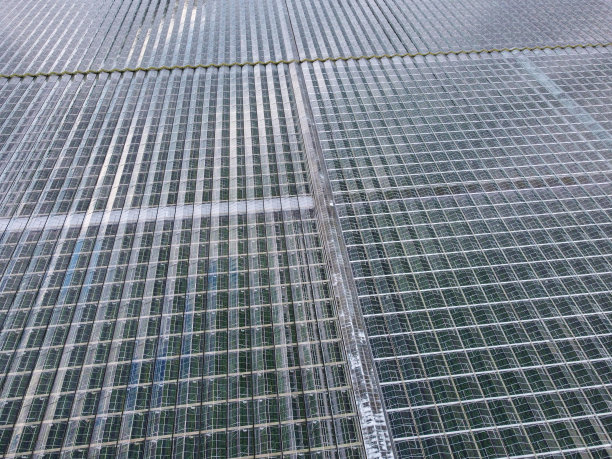 温室鸟瞰图，现代工业温室无人机瞰图。绿色的种植园穿过透明的玻璃天花板。图片下载