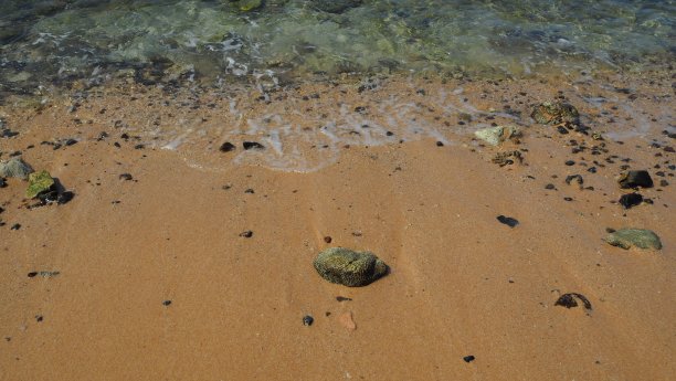 抽象的漩涡与绿色的珊瑚，蓝色的海洋和橙色的沙子图片下载