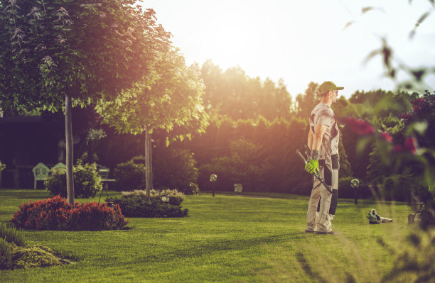 高加索职业园丁在他的客户的后院花园图片下载
