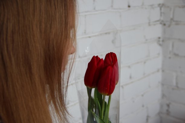 金发女孩近距离看一束红色郁金香图片下载