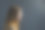 肖像侧视图快乐的年轻女子在深灰色的背景图片下载