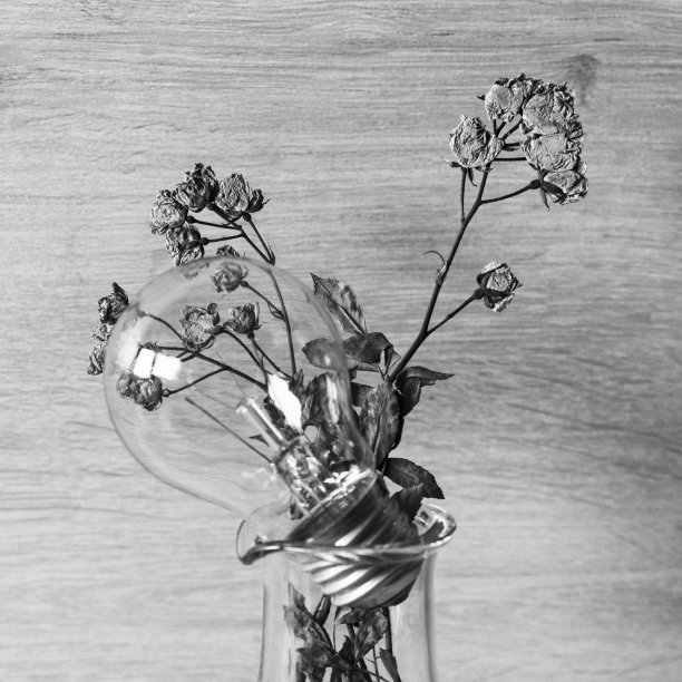 压花组成与灯泡，黑色和白色图片下载