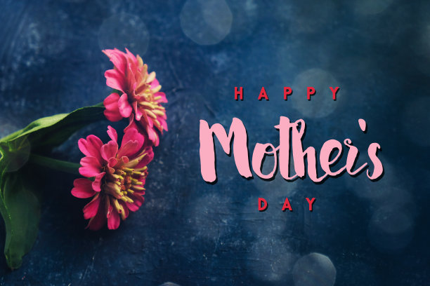 母亲节鲜花图片下载