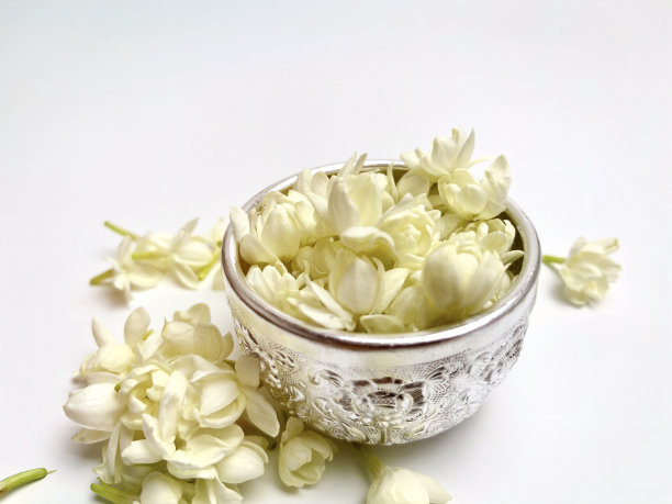 在泰国泼水节，碗里的水和茉莉花混合在一起。图片下载