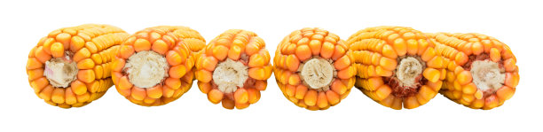 切碎的成熟玉米皮图片下载