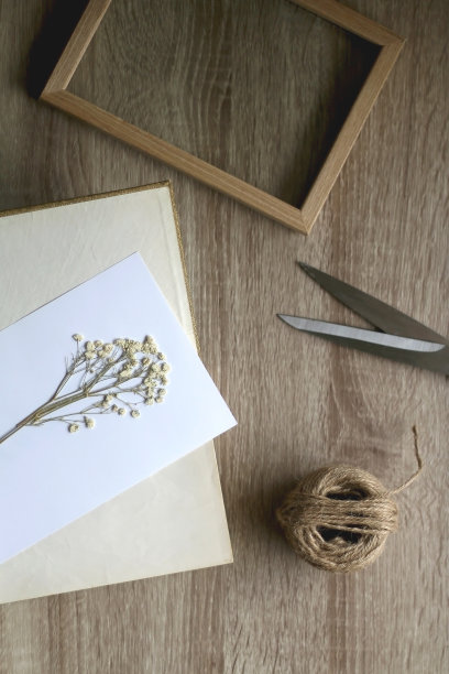 制作植物标本图片下载