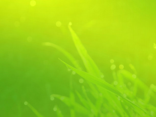 抽象背景，绿-黄颜色梯度，草和露的剪影，纹理效果图片下载