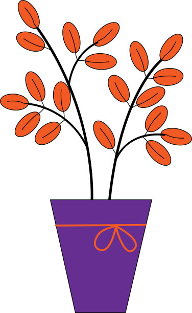 家中绿色植物，室内橙花花盆图片下载