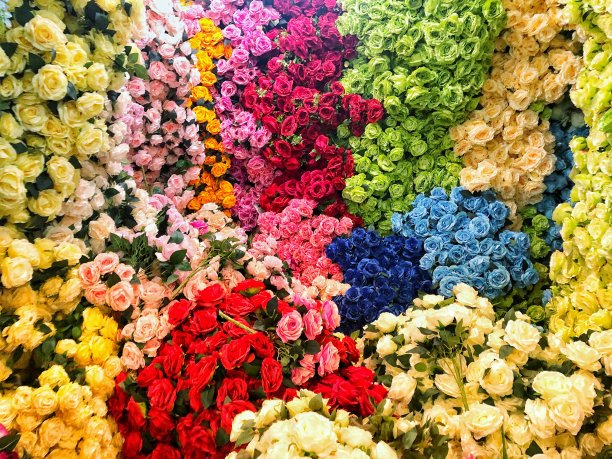 花卉的抽象背景。特写镜头。图片下载