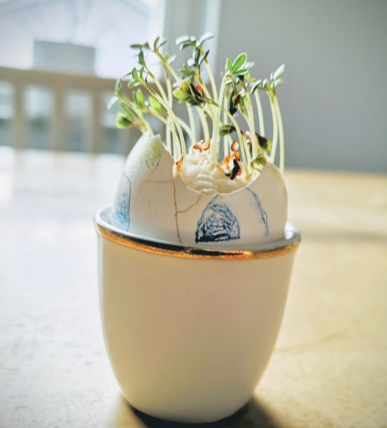 埃吉 2图片下载