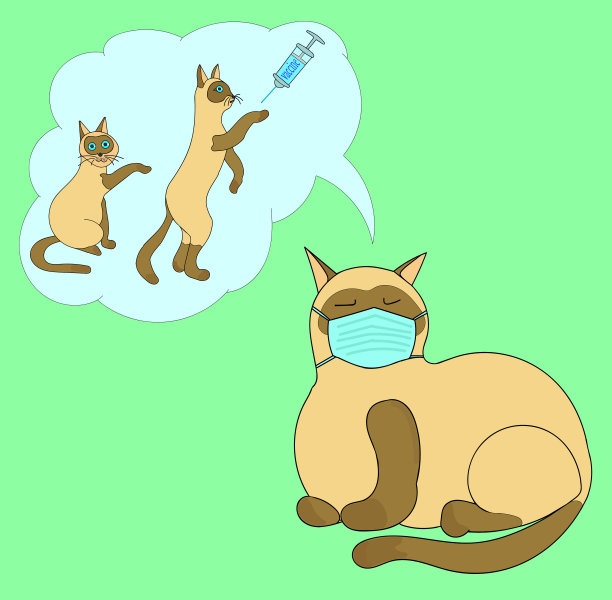 动物需要接种疫苗。猫梦想接种covid-19疫苗图片下载
