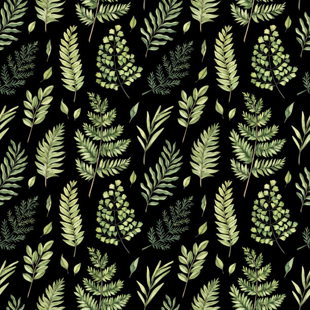 绿色植物水彩无缝图案。植物黑色背景与绿色的枝，叶和蕨类植物插图。花卉设计。完美的邀请，包装纸，纺织品，织物，包装图片下载