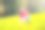 孩子们玩。蒲公英田里的孩子。夏天的花图片下载