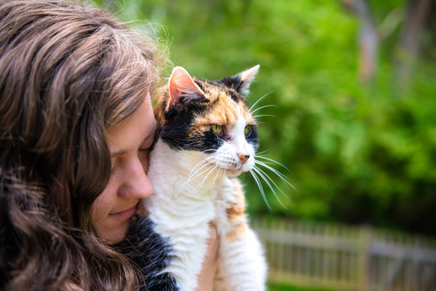 幸福微笑的年轻女子的特写照片牵在手印花布猫宠物伴侣，碰撞摩擦bunting头，朋友显示感情在家花园外面图片下载