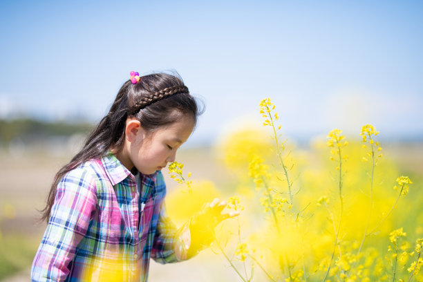 女孩闻一闻油菜花的香味图片下载