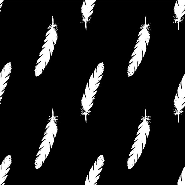 白色羽毛无缝图案上的黑色图片下载