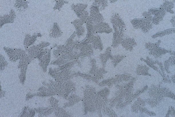 沙滩的全帧镜头图片下载