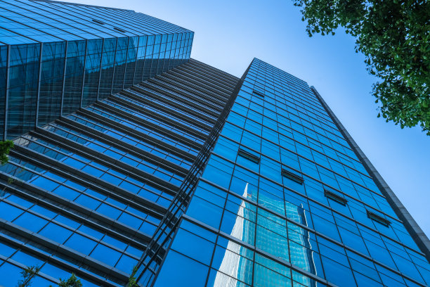 商业大厦和绿叶图片下载