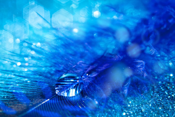 美丽透明的水滴或雨水在柔软的背景。放大照相。桌面背景。有选择性的重点。图片下载