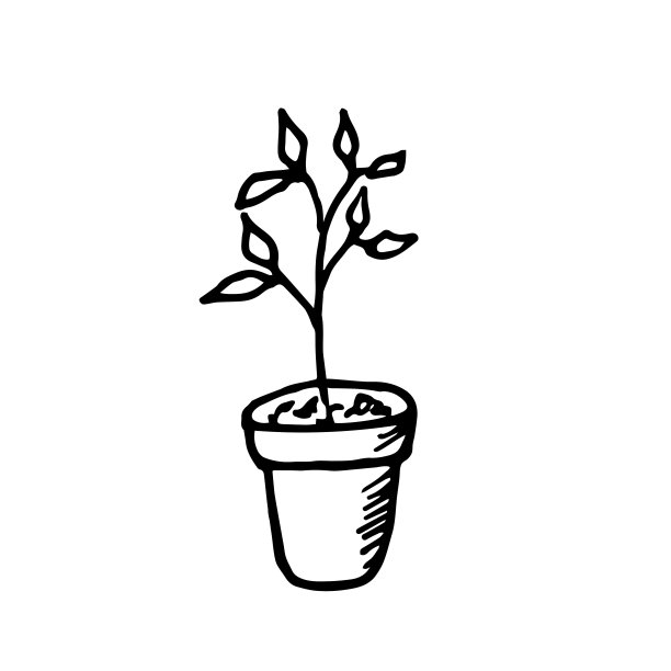 花盆里的室内花。涂鸦风格的手绘元素。图片下载