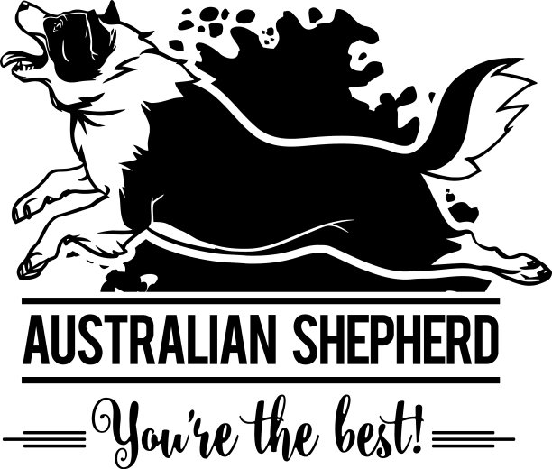 澳大利亚牧羊犬在跳狗快乐的脸爪子图片下载