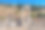 土耳其以弗所古城废墟中的柱子图片下载