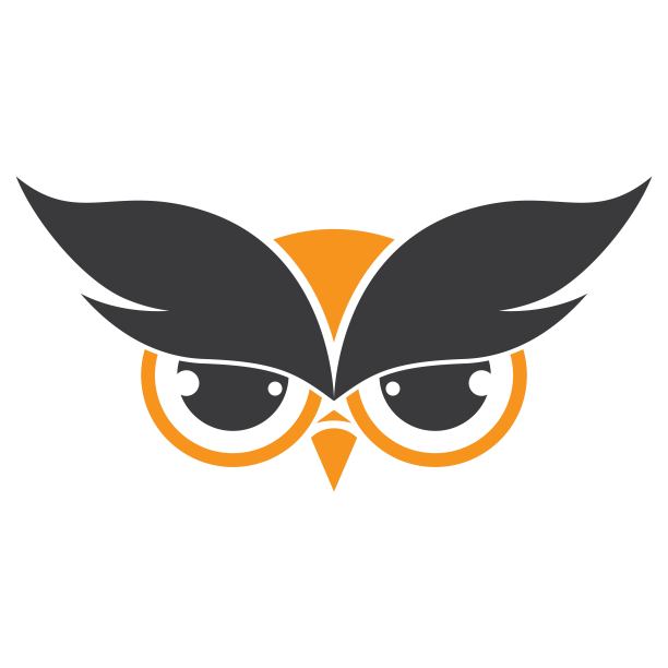 猫头鹰的图片说明图片下载