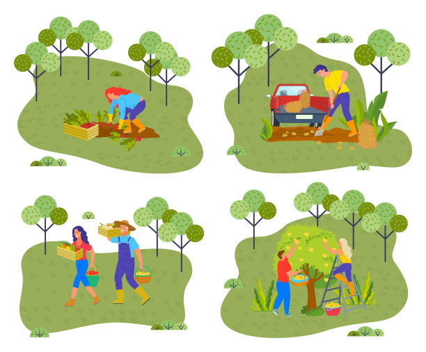 园丁集合。人们收获蔬菜和水果，秋天的时候。收割。平面图像图片下载