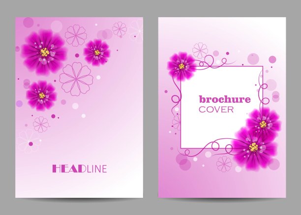 现代矢量模板的小册子封面在A4图片下载