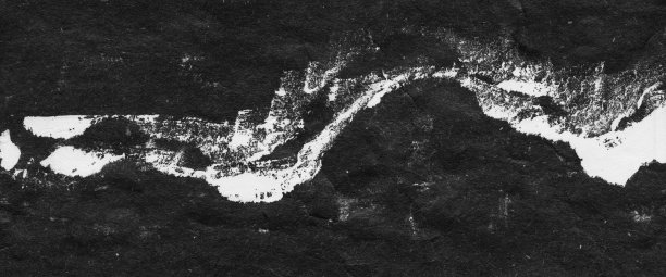 抽象景观，黑白极简艺术插画。图片下载