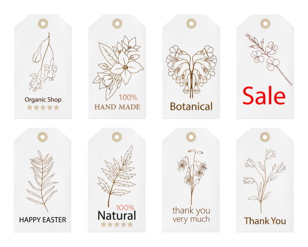 一套复古标签与手绘鲜花和树枝图片下载