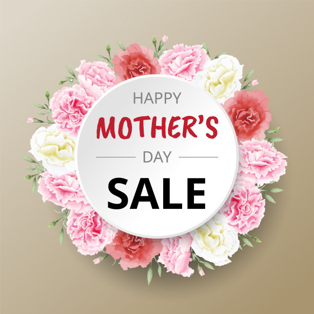 母亲节出售康乃馨花图片下载