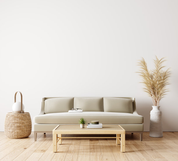 现代室内设计的客厅在自然的颜色与干植物装饰和空白的白色模拟墙背景素材图片