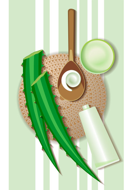 美容和水疗概念与芦荟植物图片下载