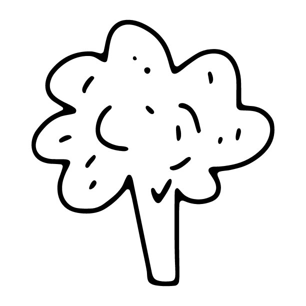 在白色背景上分离的花椰菜图片下载