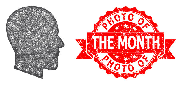 纹理照片月邮票印章和线形图片下载