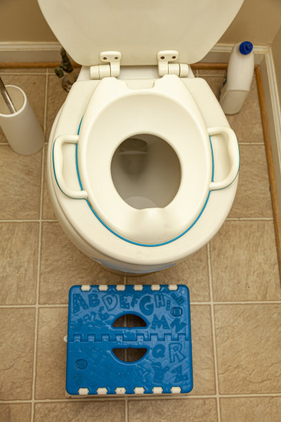 一种儿童马桶座圈附件，安装在马桶顶部，供儿童在如厕训练时使用。图片下载