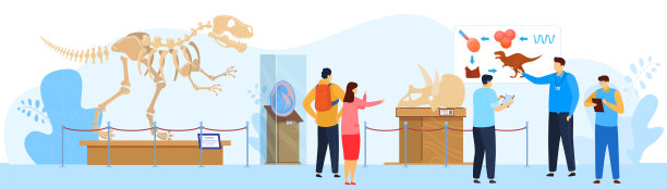 考古博物馆展示恐龙骨骼，史前动物，矢量插图。古代和自然科学博物馆。图片下载