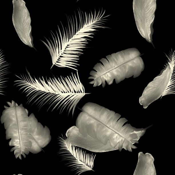 黑色的热带纺织。白色的无缝的性质。灰色的模式植物。装饰芙蓉。香蕉叶子。孤立的纹理。春天的背景。水彩艺术。图片下载