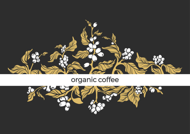 豪华模板咖啡树图片下载