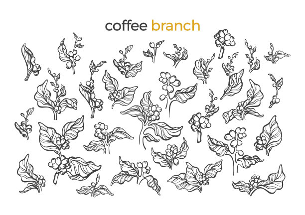 设置咖啡树艺术线图片下载