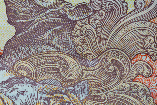 十个印度卢比图片下载