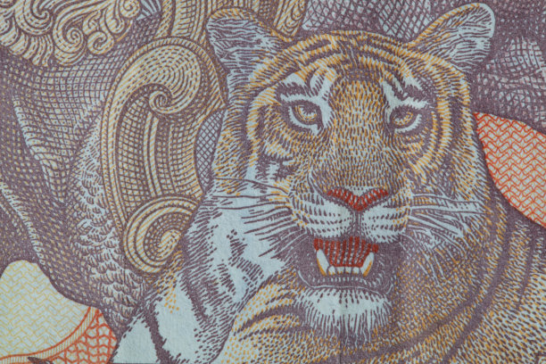 十个印度卢比图片下载