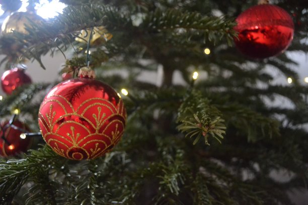 冷杉树上的红色圣诞球图片下载