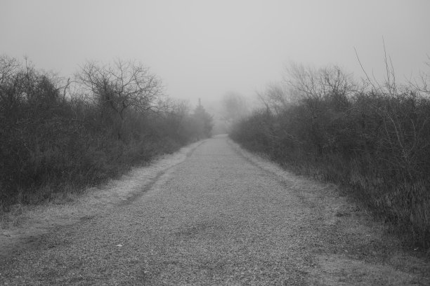 冬季纽约郊区的自然和海滩风景图片下载