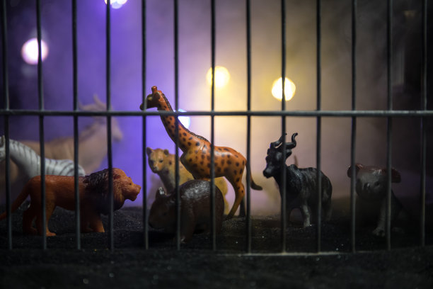 一群动物聚集在一个黑色背景和发光的白色射线。动物包括大象、斑马、熊和犀牛。用它作为动物园或朋友的概念。图片下载