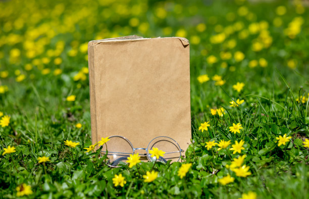 旧书配眼镜，在黄花草地上阅读图片下载