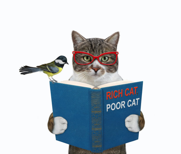 猫彩色智能持有蓝色的书图片下载