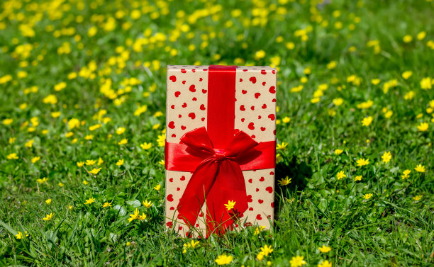 带红色蝴蝶结的礼盒，草地上开着黄花图片下载